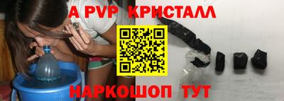 гашик Можга