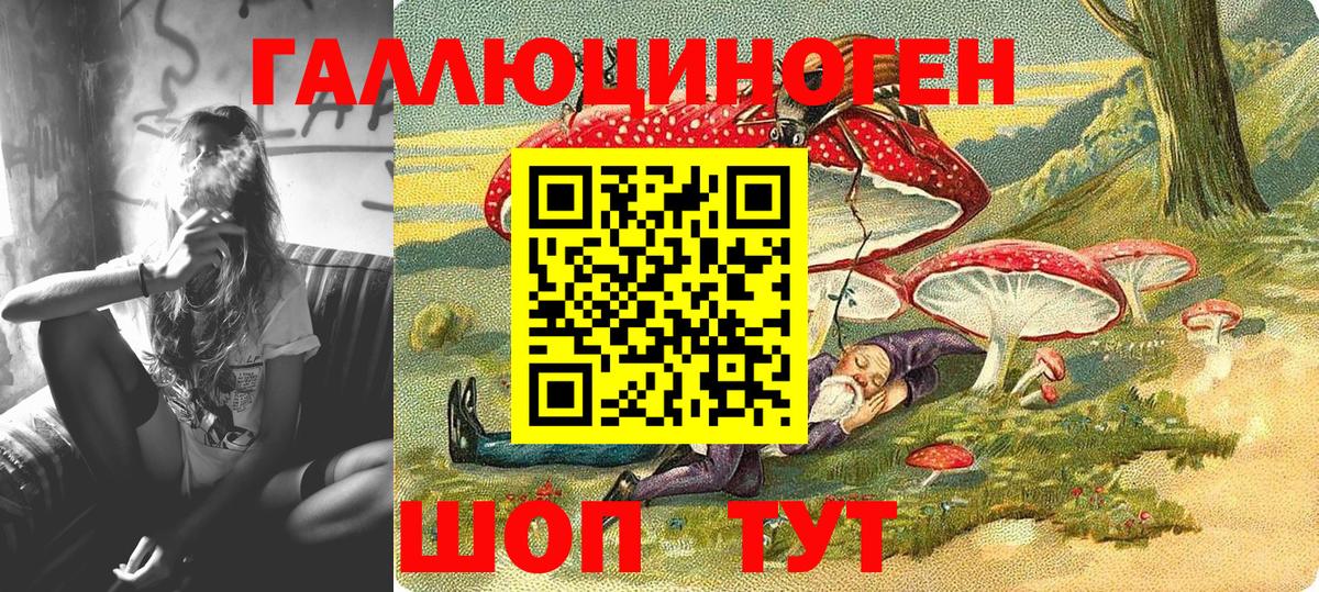Галлюциногенные грибы Psilocybine cubensis  Галлюциногенные грибы прущие грибы  Вход с VPN  Кореновск 